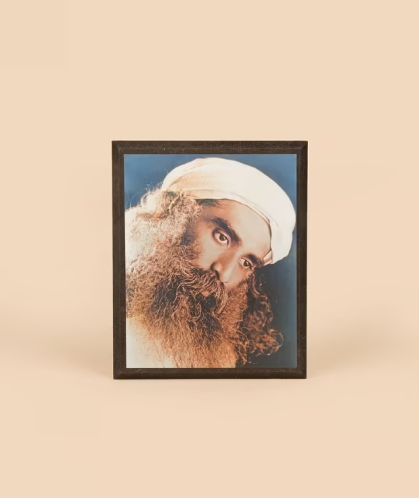 Sadhguru Photo - 4x6 inches