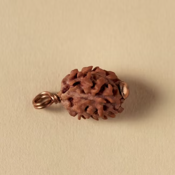 Dwimukhi Rudraksha